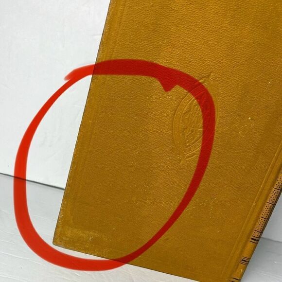 Wood’s Library of Standard Medical Authors Malaria and Malarial Diseases 1884 Ge - Picture 5 of 12